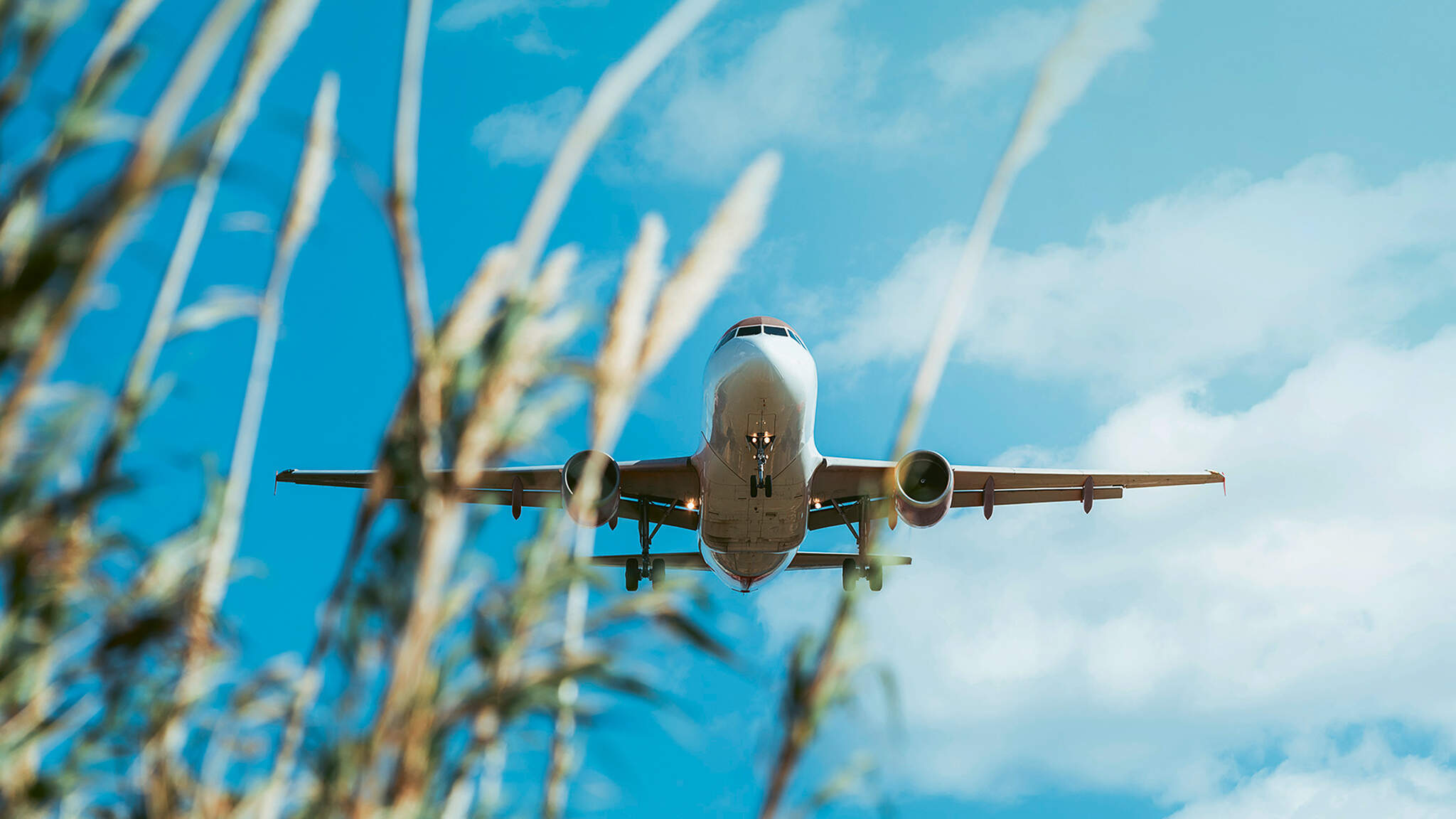 DACHSER propose désormais à Ricola d’utiliser des carburants d’aviation durables (SAF), qui ont déjà permis d’économiser plus de 150 tonnes de CO₂e au cours du premier semestre 2023.