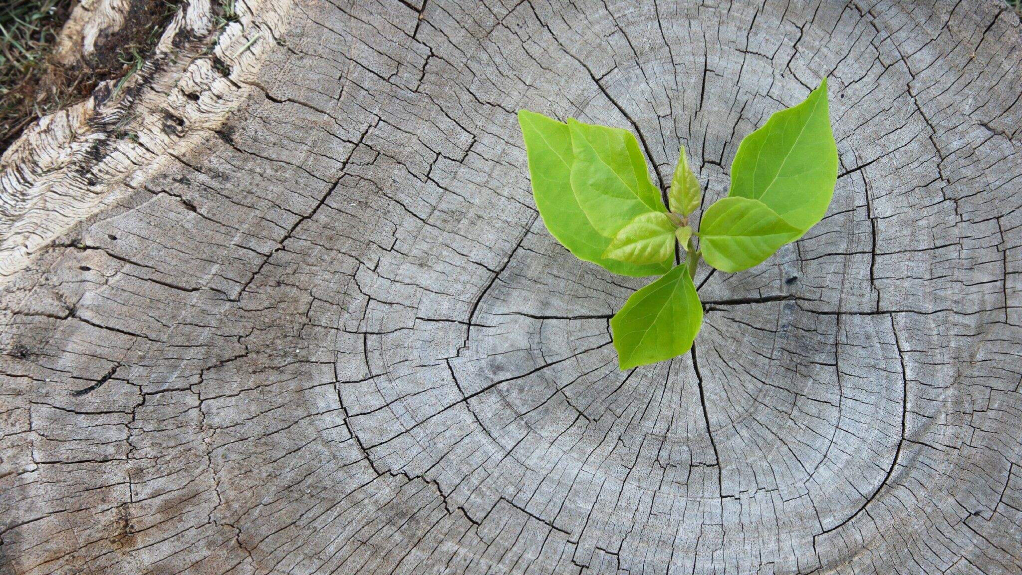 La lutte pour la protection du climat est plus qu'un simple objectif en soi.
 